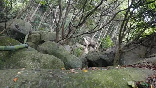 深圳到白山浑江区物流公司_深圳至白山浑江区货运专线