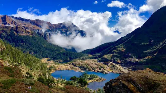 深圳到维西县物流公司_深圳至维西县货运专线
