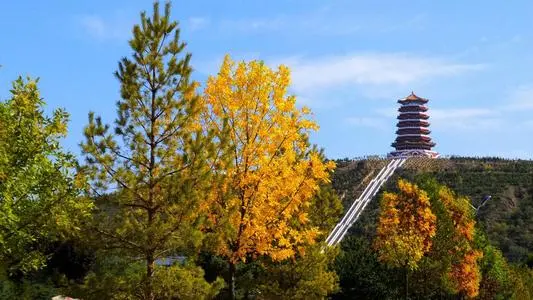 深圳到彭阳县物流公司_深圳至彭阳县货运专线