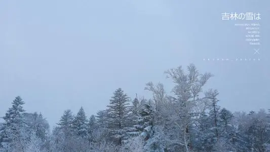 深圳到蛟河物流专线_深圳至蛟河物流公司
