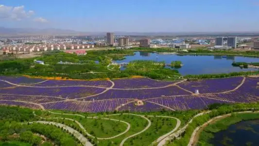 深圳到金昌物流专线_深圳至金昌物流公司