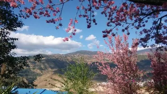 深圳到临沧临翔区物流公司_深圳至临沧临翔区货运专线