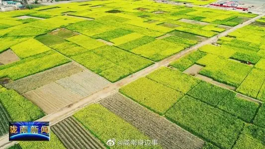 深圳到文县物流公司_深圳至文县货运专线