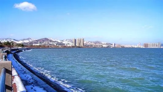 深圳到青岛市北区物流公司_深圳至青岛市北区货运专线