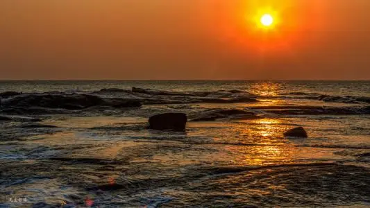 深圳到日照岚山区物流公司_深圳至日照岚山区货运专线